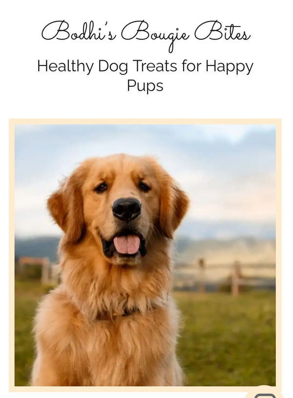 Bodhi's Bougie Bites